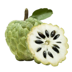 Custard Apple